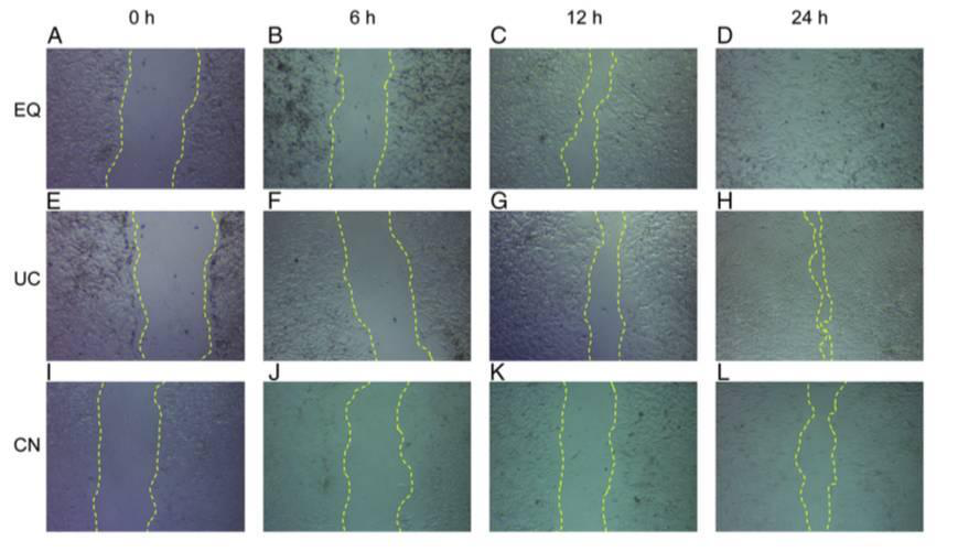 划痕2.png 划痕2.png